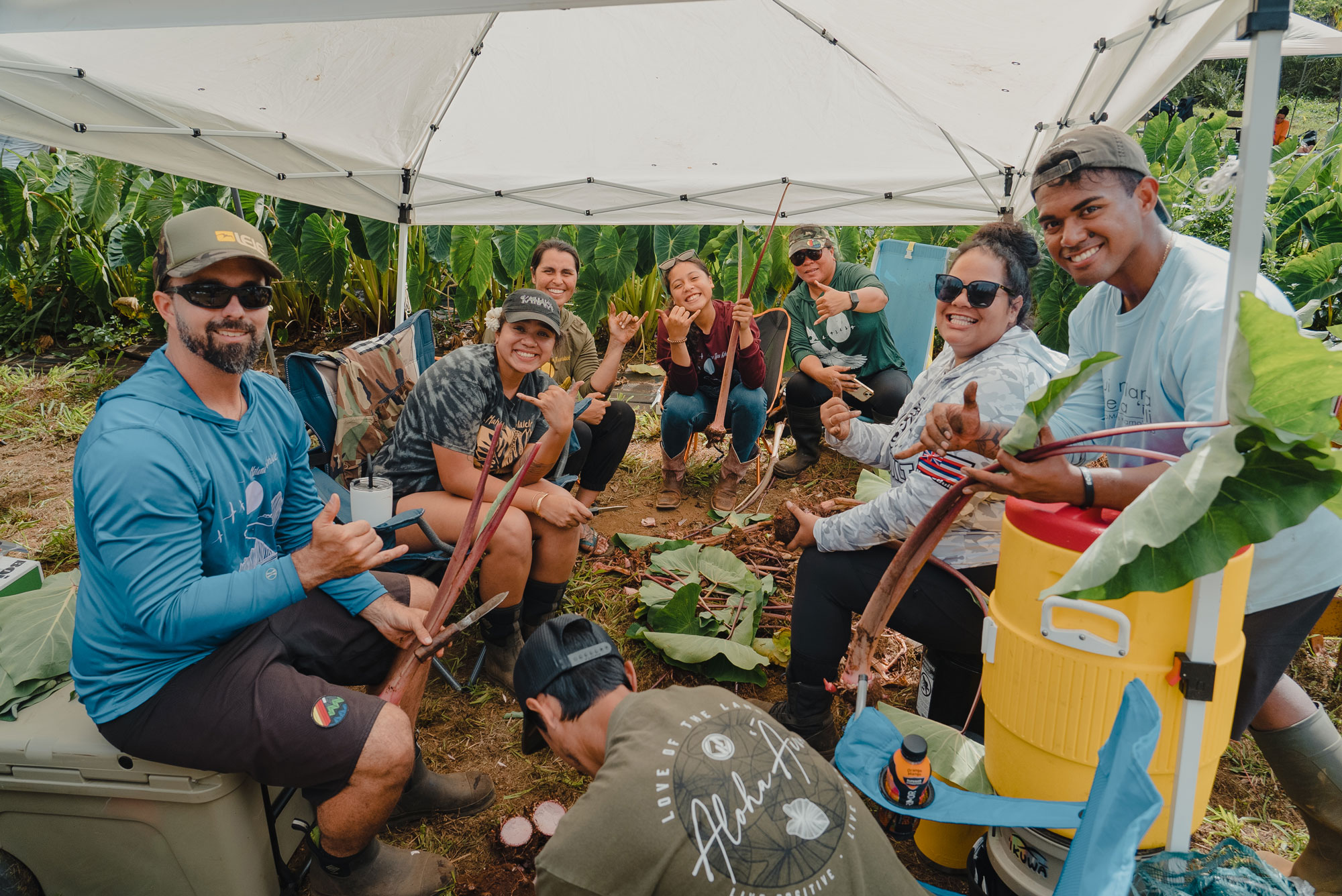 Hawaiian farmers and community members gather to share tubers and planting materials at a La Kalo celebration