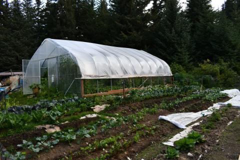A greenhouse with a garden
