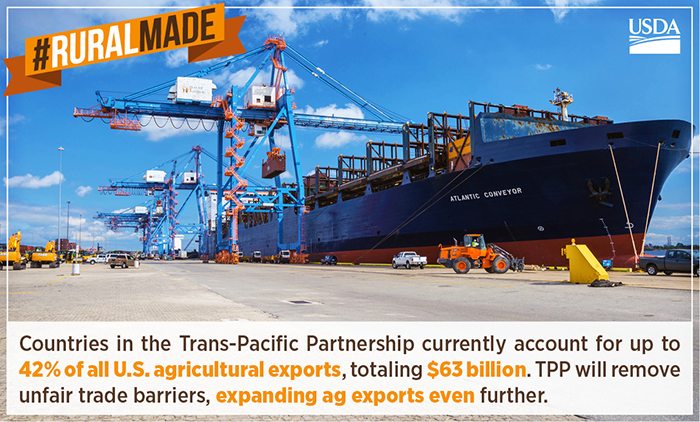 The Trans-Pacific Partnership (TPP)