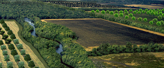 http://www.usda.gov/img/content/agroforestry-landscape.jpg