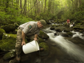 Southern Appalachia brook trout are cherished as a cultural emblem of the rugged and lush mountain forests including the Cherokee National Forest and are an important signal of the highest quality drinking water. Travis Scott, a fish biologist with the Tennessee Wildlife Resources Agency, releases young brook trout into one of the forest’s headwater streams. (Copyright photo courtesy Freshwaters Illustrated/Dave Herasimtschuk)