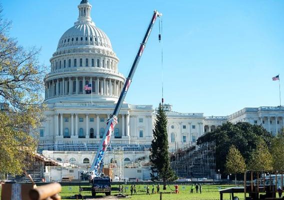 The Peoples’ Tree is positioned in place on the West Lawn of Capitol Hill
