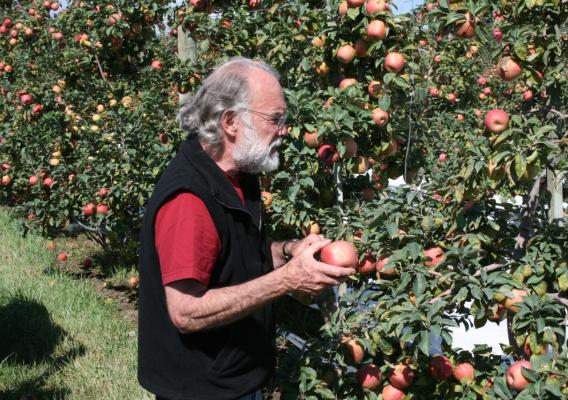 A Farm Storage Facility Loan helped the Belisles purchase and install a cooler that increased their apple storage capacity by 210 bins. They now have more flexibility when it comes to marketing their apples.