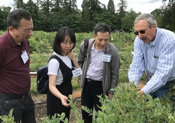Dave Brazelton, President of Fall Creek Farm and Nursery (right), talking with representatives from China’s State Forestry Administration about plant variety protection