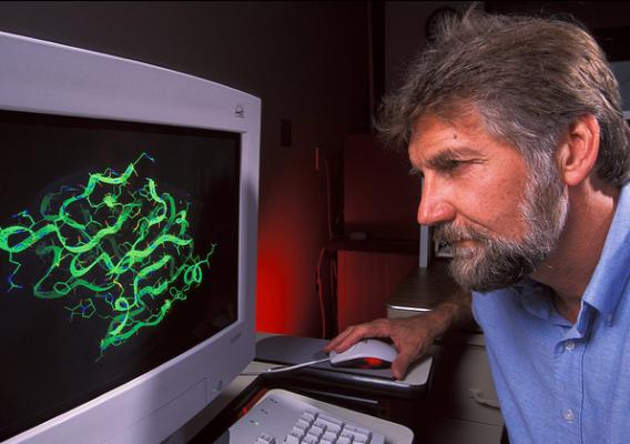 USDA-ARS Chemist Vince Edwards examining a computer image of an enzyme model