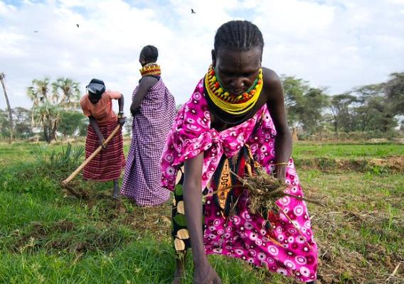 Woman farmers working in the fields in Kenya