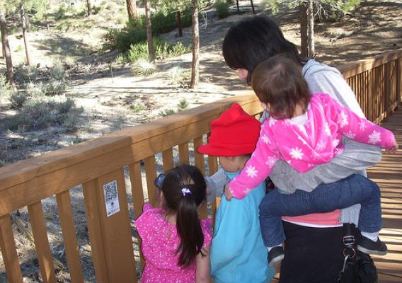 A family playing with the Discovery Agents app at Chilao Visitor Center in the Angeles National Forest