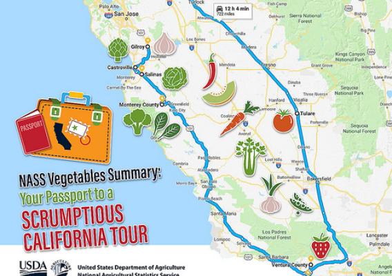 NASS Vegetables Summary: Your Passport to a Scrumptious California Tour graphic
