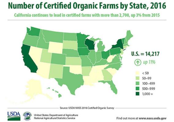 Number of Certified Organic Farms by State, 2016 infographic