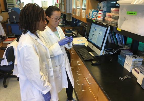 Oklahoma State University students Olivia Hawkins, left, and Lei Wu work on a project to study the health benefits of whole eggs in improving insulin resistance