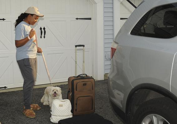 A person with a dog in front of suitcases near a SUV