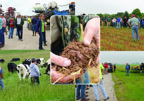 A composite of farm field days participants