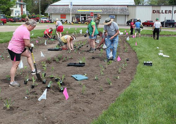 The volunteers worked four hours to get the 710 plants in the ground. NRCS photo.