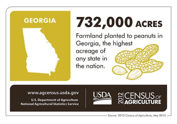 Peanuts, Pecans, Poultry, Peaches – and cotton and quail - Georgia’s agriculture is as diverse as its people.  Check back next week to learn about another state and the 2012 Census of Agriculture.