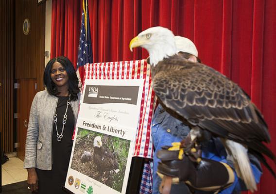 Chavonda Jacobs-Young, ARS Administrator, unveiling results of the newly named bald eaglets