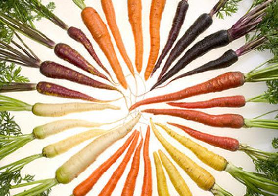 Multi-colored carrots arranged in a circle