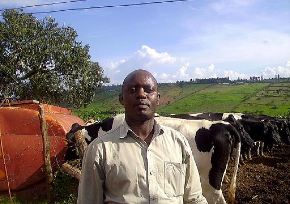 Otto Muhinda, a former USDA Cochran Fellow, is in charge of the Government of Rwanda’s “One-Cow-One Household” program.
