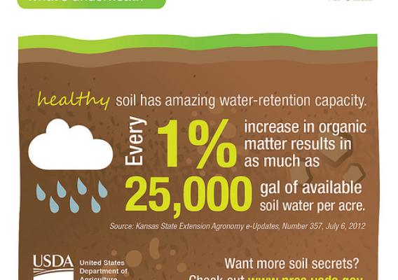 What's underneath? Healthy soil has amazing water-retention capacity. USDA's Natural Resources Conservation Service is celebrating Earth Day by highlighting the importance of soil health.