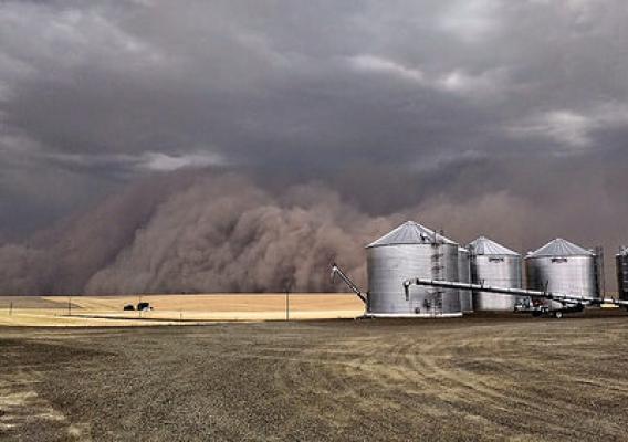 A powerful dust storm, known as a haboob, blankets a farm near Ritzville, Wash. Photo courtesy of Susan DeWald. Used with permission. 