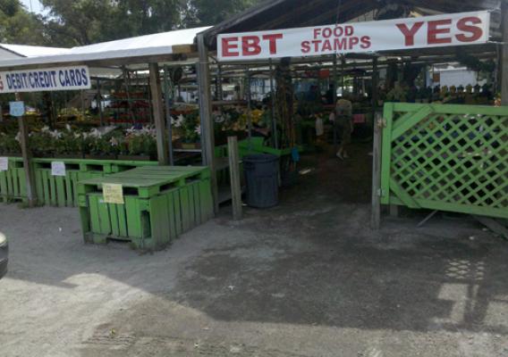 Farmer's Market near Plant City, Florida accepts SNAP benefits with an Electronic Benefit Transfer (EBT) card