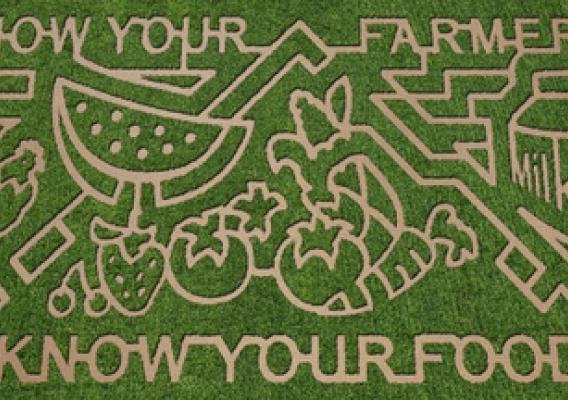 Fall 2010 Lattin Farms corn maze inspired by the USDA Know Your Farmer, Know Your Food initiative. 