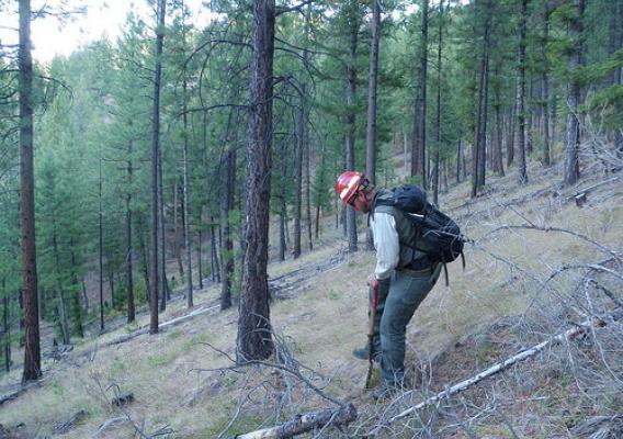 Challis National Forest Soil Scientist Jeremy Back monitoring forest soils