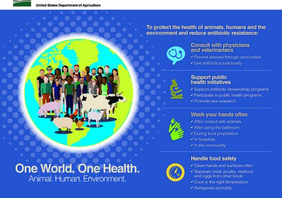 One World. One Health. Animal. Human. Environment infographic