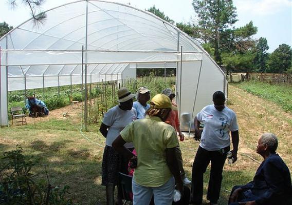 McGee shows members of the Women in Agriculture organization her seasonal tunnel house crops as well as other vegetables and herbs.  The women were so impressed they said they wanted to grow everything she had.