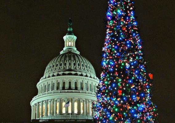 A 63-foot Sierra white fir from the Stanislaus National Forest in California was lit as the 2011 Capitol Christmas Tree during a ceremony Dec. 6 on the west front lawn of the Capitol. The Christmas tree is adorned with about 3,000 ornaments, all homemade by California residents, and 10,000 energy-efficient lights. (U.S. Forest Service photo)