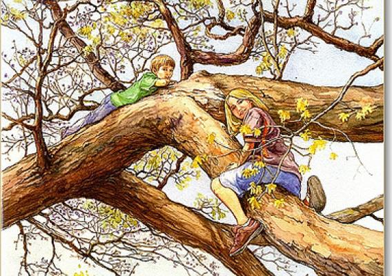 A favorite U.S. Forest Service book for kids is “Why Would Anyone Cut a Tree Down?” which explains to children that, yes, there are reasons to cut trees. (U.S. Forest Service)