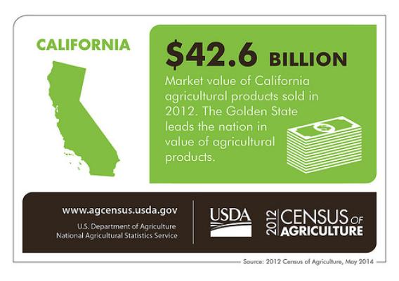 California’s moderate climate allow for year round production of many crops, making agriculture in the Golden State important for the U.S. and the world.  Check back next week for another state spotlight from the 2012 Census of Agriculture.  