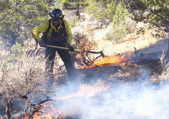Fire prevention specialist Bob Blasi works to contain a small wildfire on the Tusayan Ranger District. (U.S. Forest Service photo)