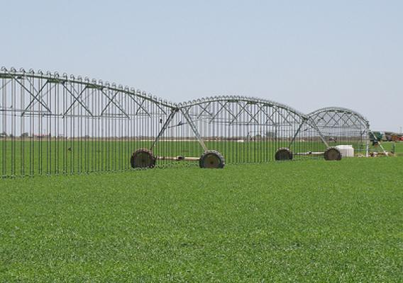 Low Elevation Spray Application and Low Energy Precision Application systems are being used on the Gonzales’ alfalfa field in Lovington, NM. This month, USDA celebrates our partnerships to encourage  conservation practices on both public and private lands.