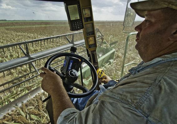 A farmer in Navasota, Texas uses modern technology to navigate a harvester through his wheat sorghum crop.