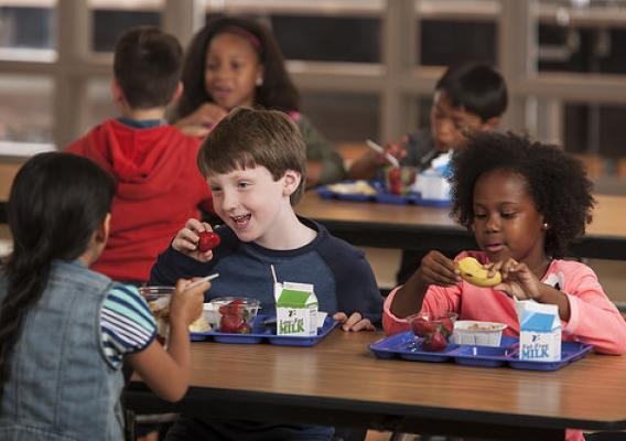 The School Breakfast Program provides children of all economic backgrounds a well-balanced, healthy meal consistent with the latest nutrition science and Dietary Guidelines for Americans.