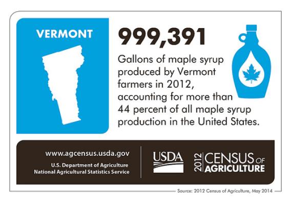 Just 609 gallons more - then Vermont would have produced a million gallons of maple syrup in 2012! That could cover a lot of waffles and pancakes. Check back next week for another state spotlight from the 2012 Census of Agriculture.