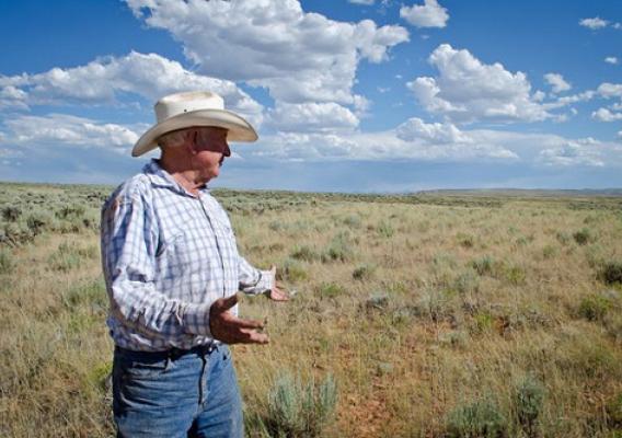 Utah rancher Bill Kennedy worked with NRCS through SGI to improve his working rangelands for sage grouse and livestock. Photo by Jesse Bussard.