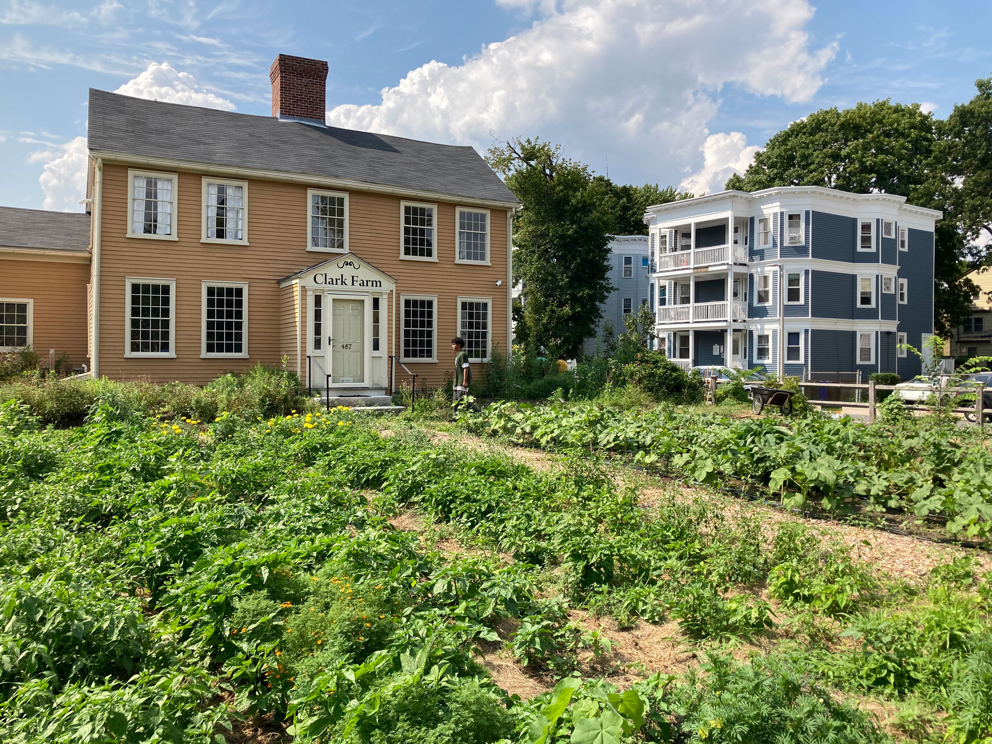 Urban Agriculture Grant Brings Together Diverse Urban Farms in Boston