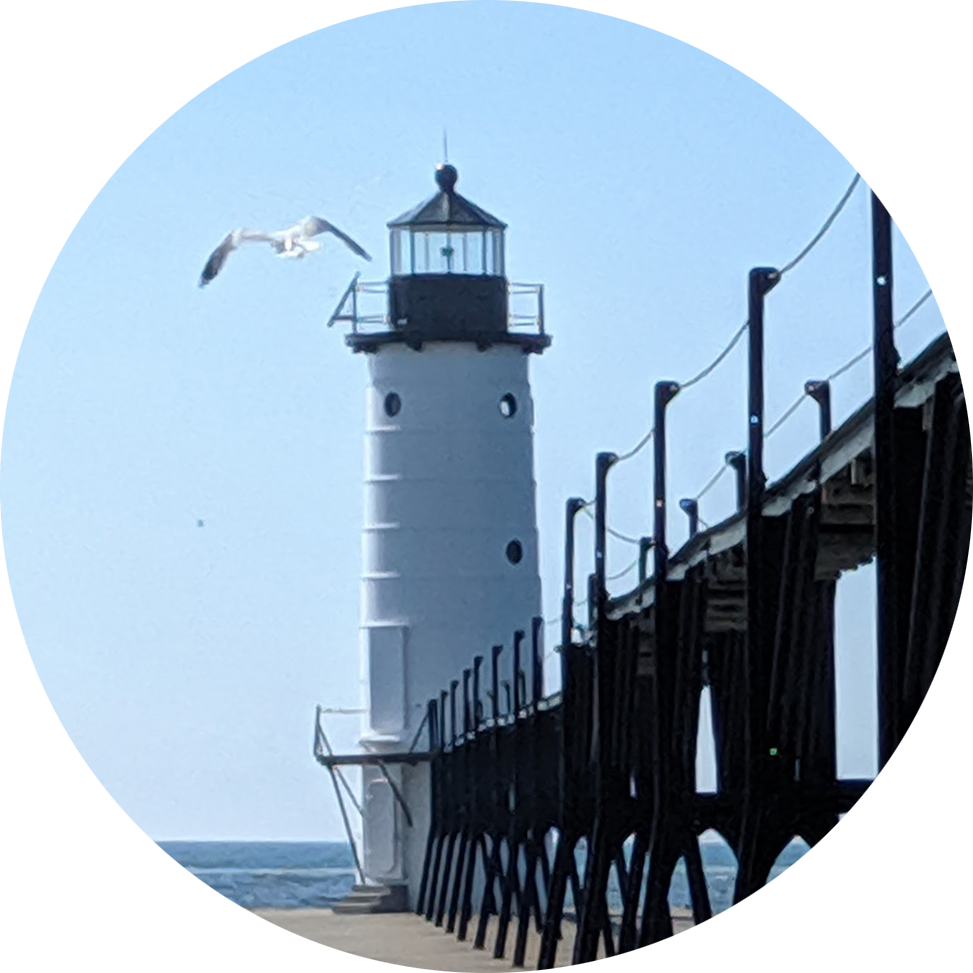 Photo of  a white lighthouse with a seagull flying nearby