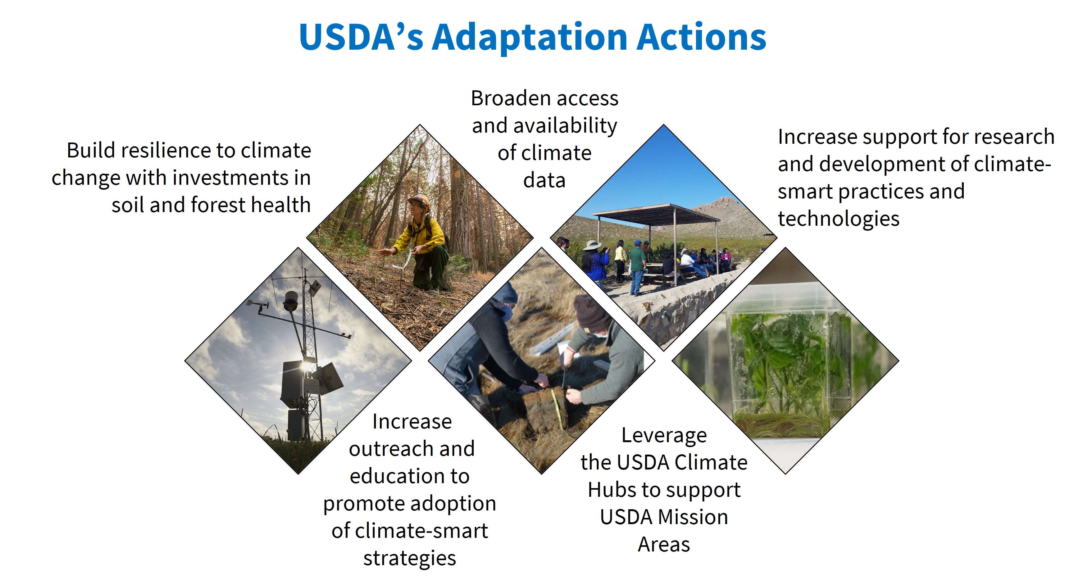 USDA's Adaptation Actions graphic
