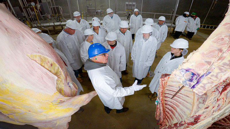 AMS Livestock and Poultry Program staff explain beef carcass grading to participants at the Fall 2022 event at the West Texas A&M University Cattle & Carcass Training Center