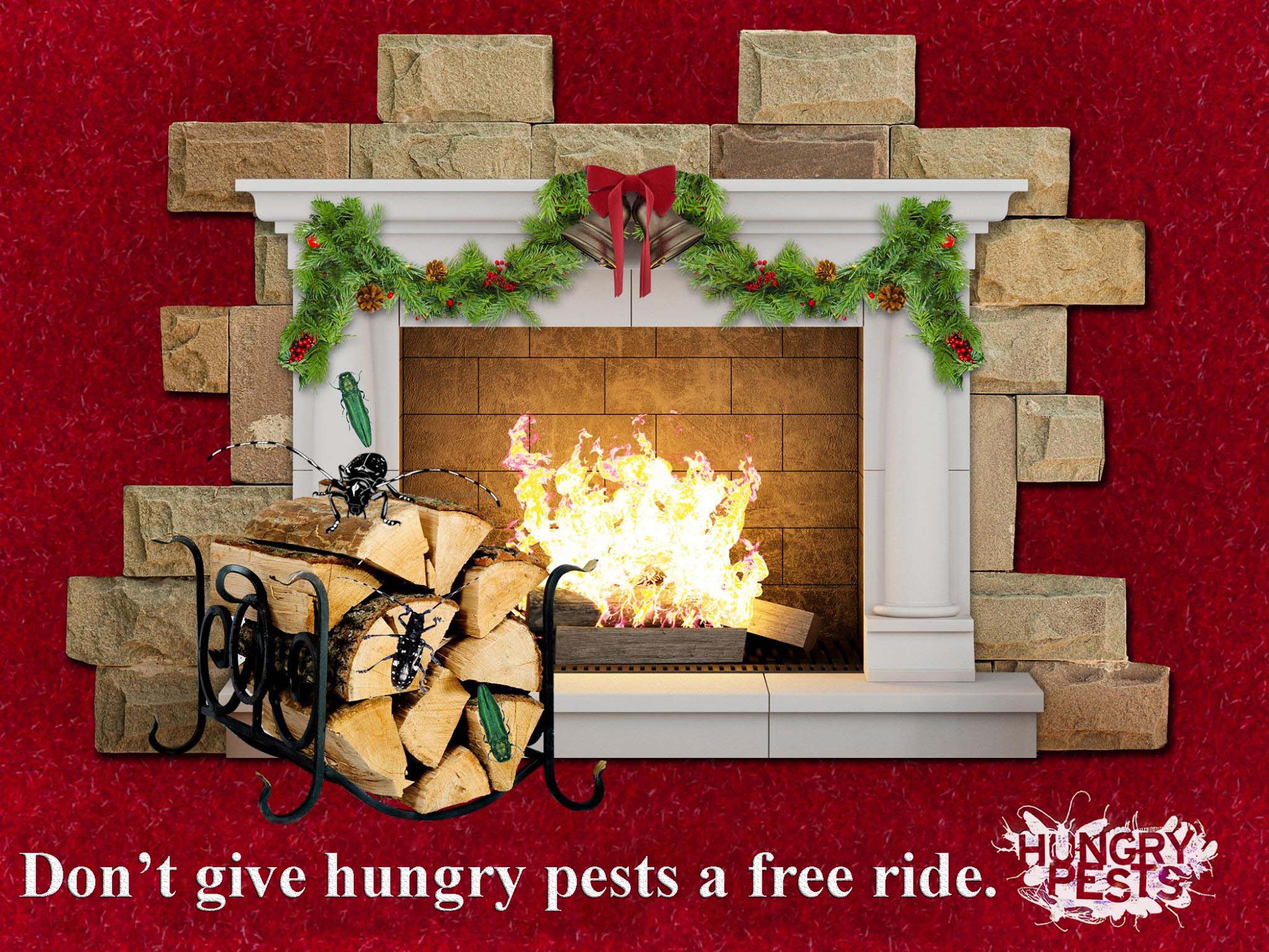 A graphic depiction of a fireplace adorned for the holidays next to firewood. Invasive pests are crawling out of the logs. The text on the graphic reads “don’t give hungry pests a free ride.”