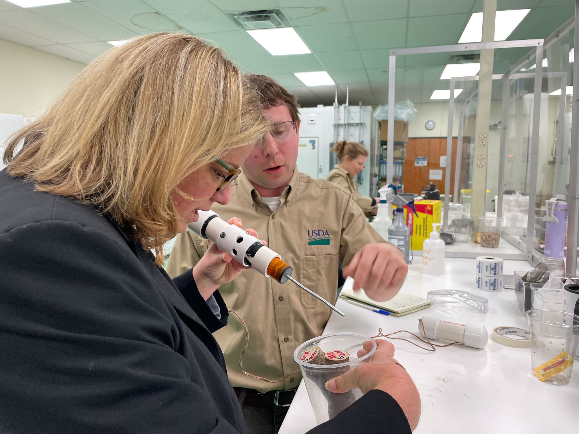 Under Secretary Jenny Moffitt in a laboratory setting examining two small sections of tree cuttings held in a clear plastic cup