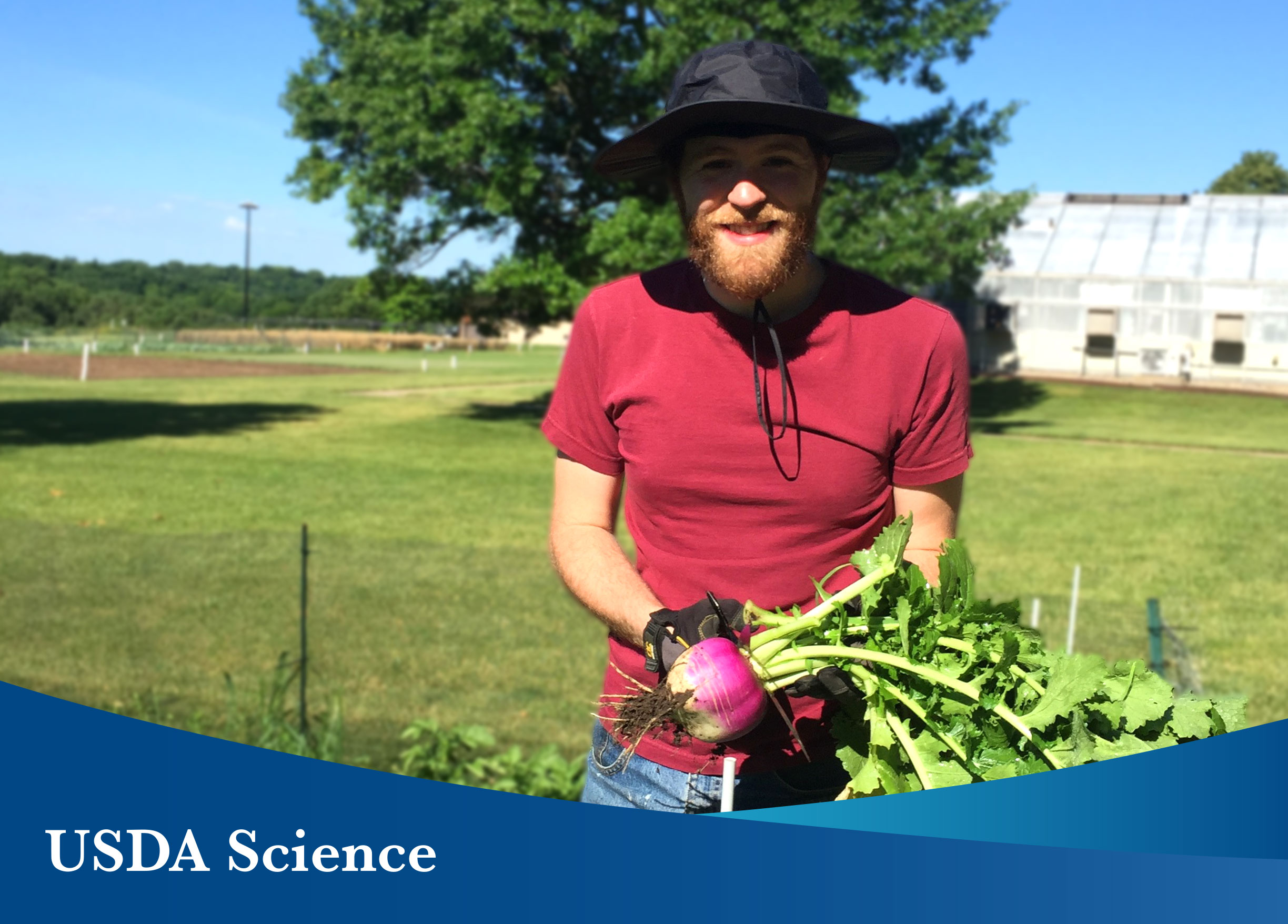 ARS biological science technician Ethan Roberts inspects a radish harvested from a “People’s Garden” plot