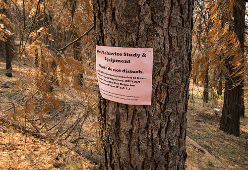 Fire Behavior Study and Equipment sign on a tree