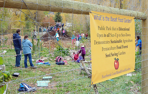 Children playing at the demonstration food forest