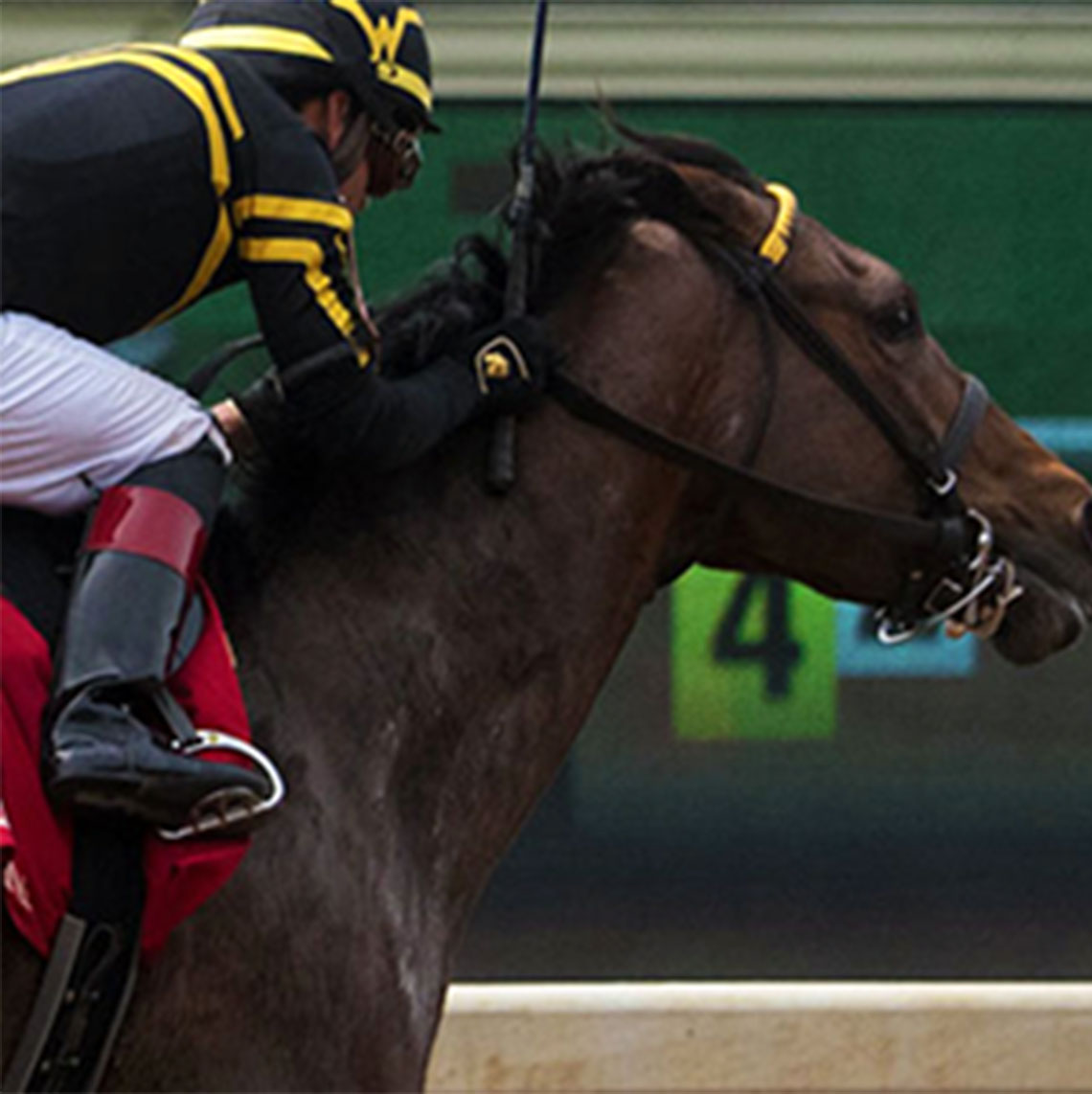 Man riding horse
