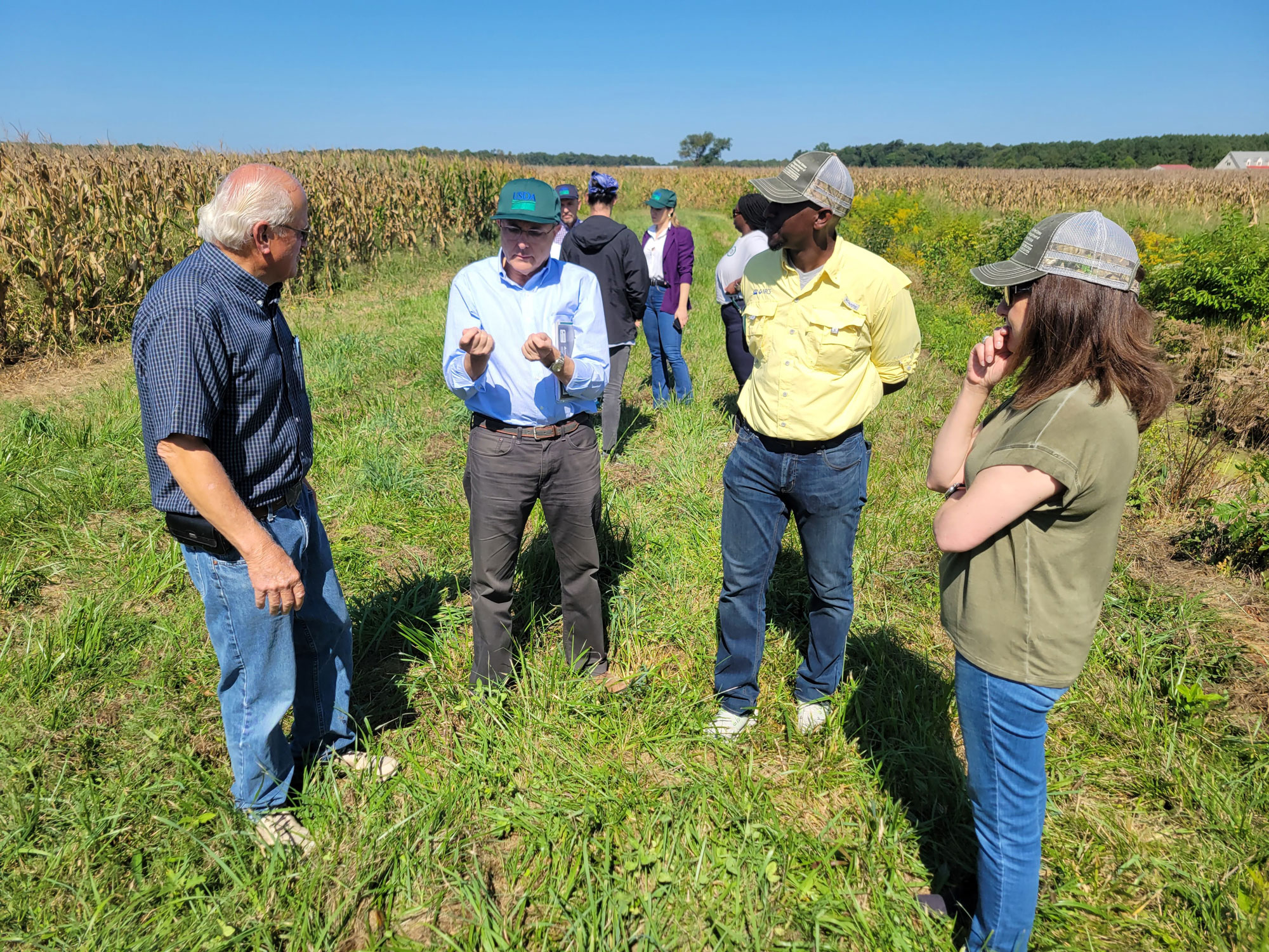 People standing in a half circle in a wheat field on Bobby Hutchison’s farm chatting about the Hutchison family’s work in conservatory farming