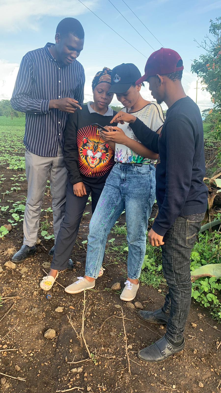 Four YouthMappers, who are university students, huddle around a mobile phone in crop field as they conduct field research in a region in Tanzania