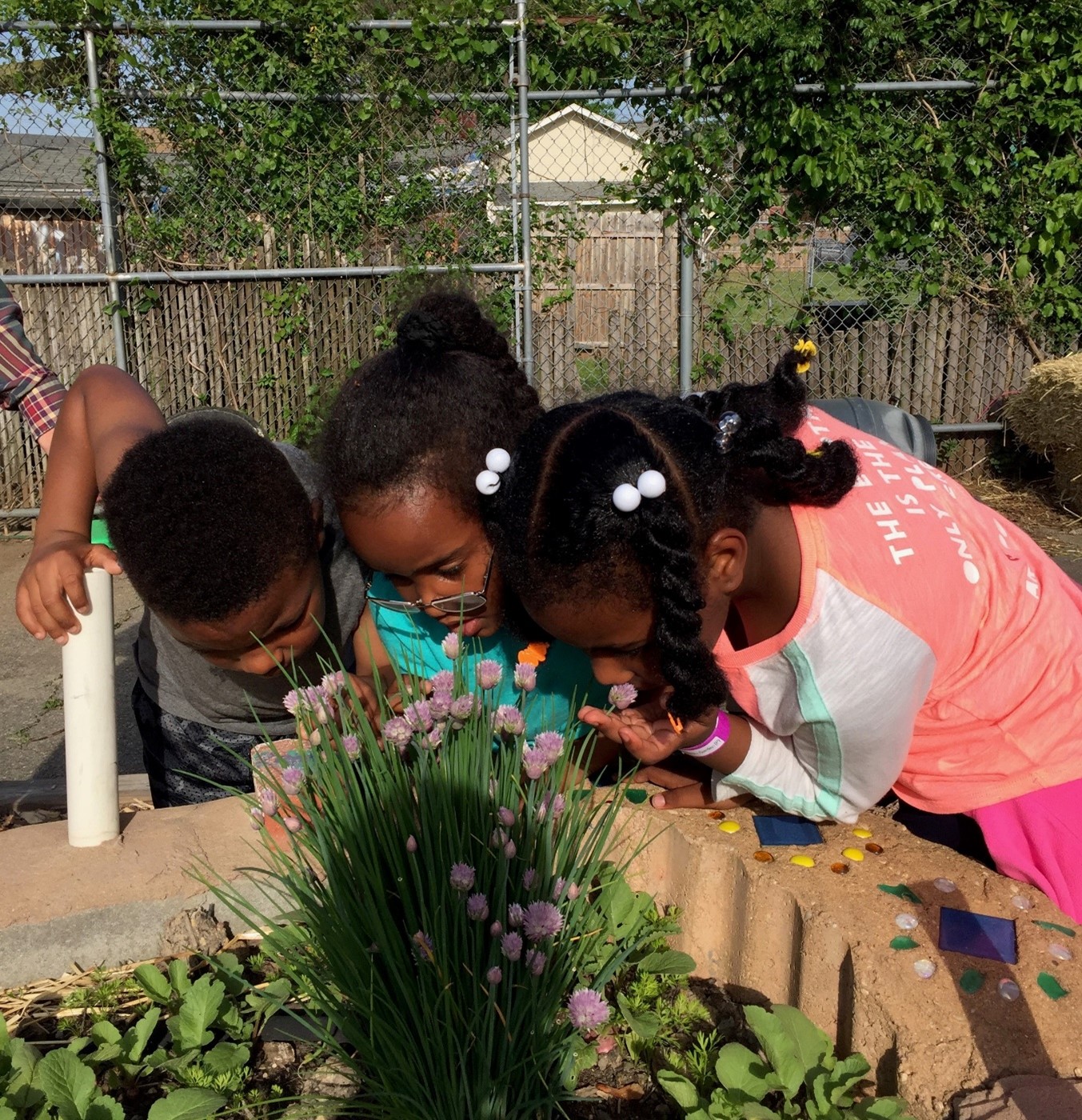 Three young children bent over a raised garden and closely inspecting a chives plant with purple flowers